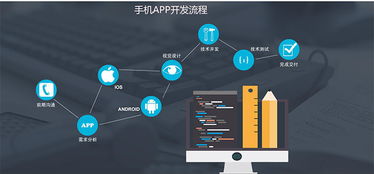 seo seo的分类